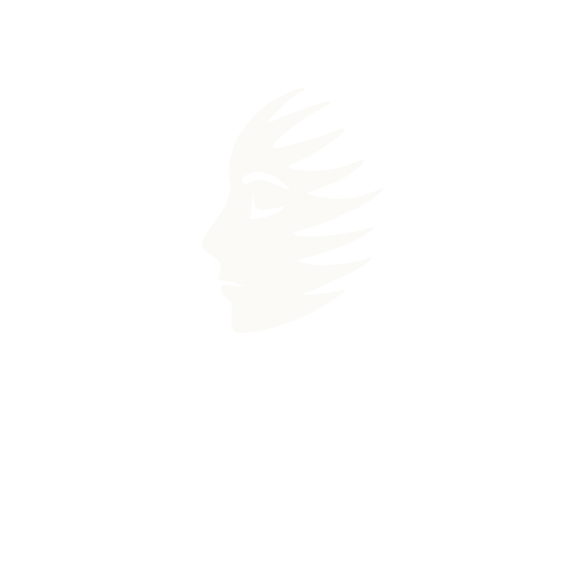 Endoface Brazil